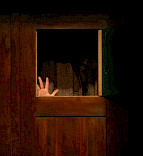 2008 Das Tagebuch der Anne Frank