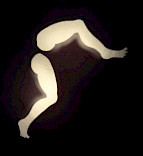 2015 Gilgamesch - Schattentheater