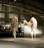 2011 Alf laila wa laila / Muadschizat al djamal