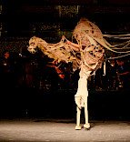 2011 Alf laila wa laila / Muadschizat al djamal