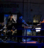 2020 Die Verbesserung der Welt / Elsa