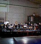 2020 Die Verbesserung der Welt / Elsa