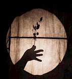 2020 Die Verbesserung der Welt: 3 - Der Durst der Hyäne